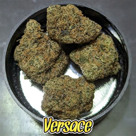 versace strain reviews.